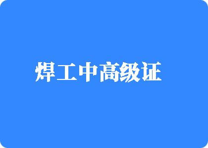 日本女人在尻男人逼焊工中高级证